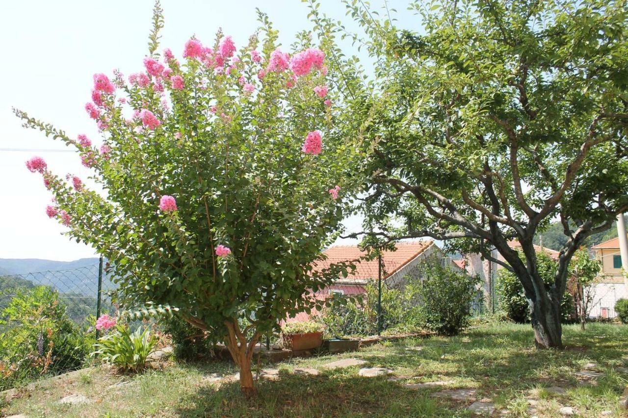 דירות Vezzi Portio La Casetta Di Graziella מראה חיצוני תמונה